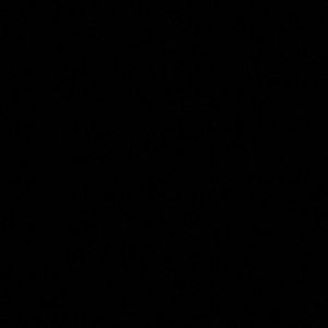 Meet your Posher, Dylan